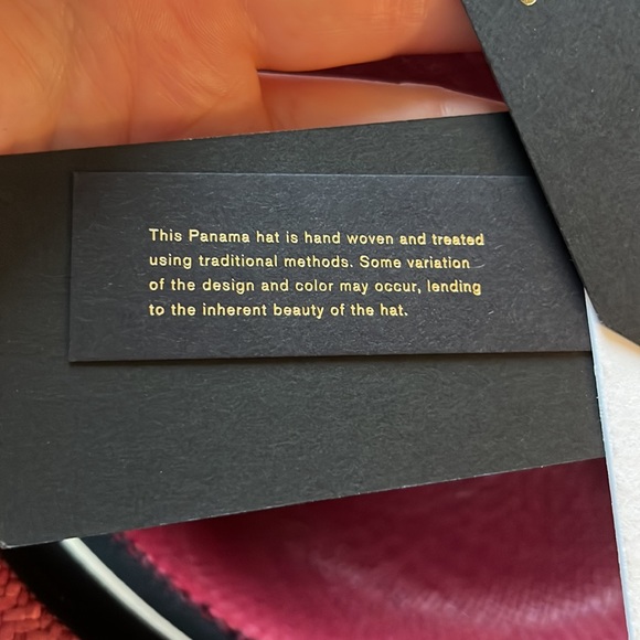 Brand new Rag & Bone FRAYED EDGE PANAMA HAT. Berry. Size: M/L - Picture 6 of 10